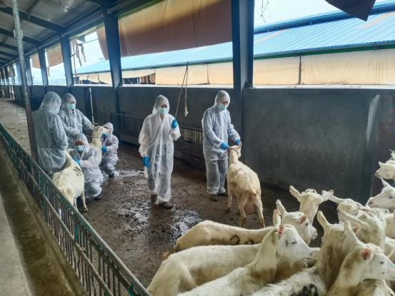 千陽縣畜產局再獲省級榮譽，產業興旺助力鄉村振興
